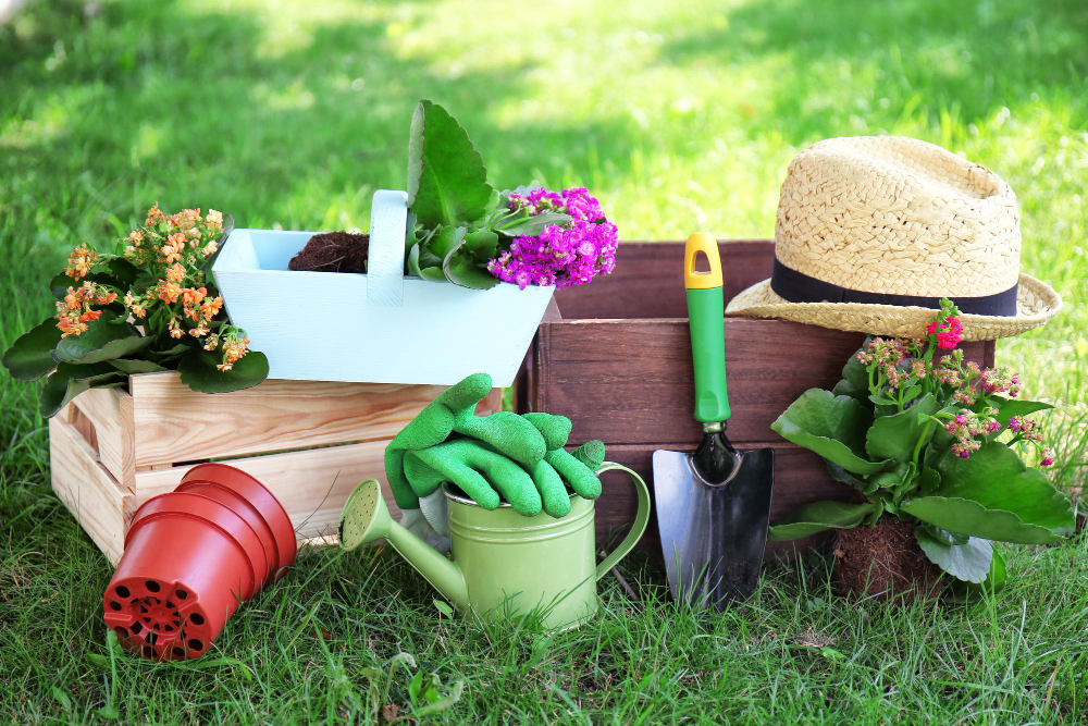7 sfaturi esențiale pentru amenajarea grădinii tale
